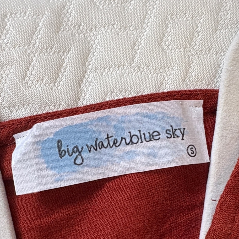 Rust Red Mini Dress with Front Buttons - Picture 2 of 4
